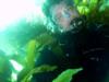 Love kelp diving!