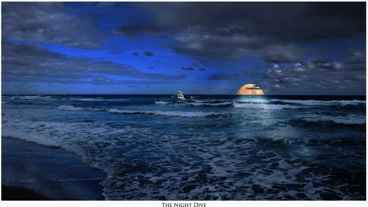 The Night Dive      ©Robert J. Denton 2008