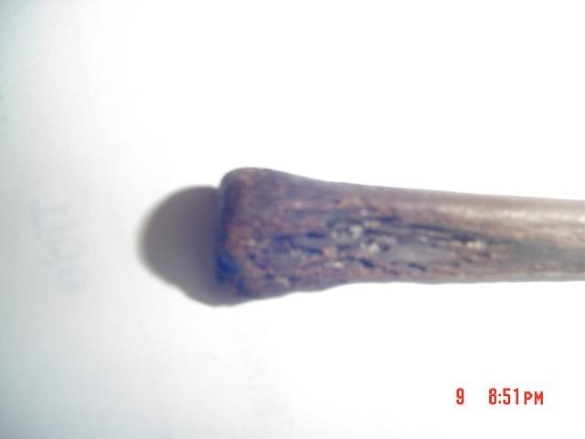 old bone hair pin#2