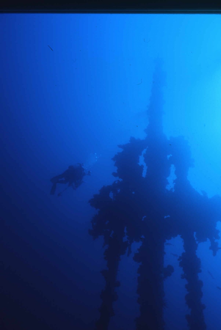 Silhouette Diver