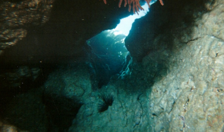 CA Sea Cavern with Kelp