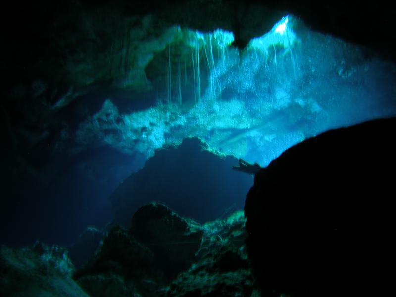 Cenote pic 2