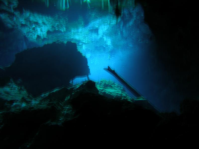 Cenote pic 3