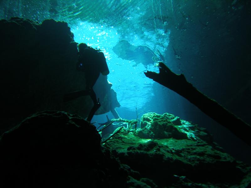 Cenote pic 5