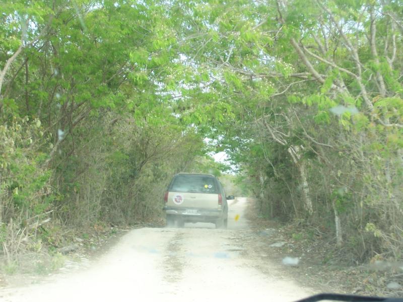 Ride to the cenote 2