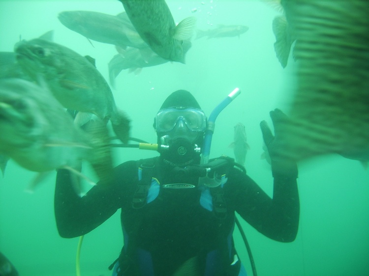 Diving at Gilboa Quarry