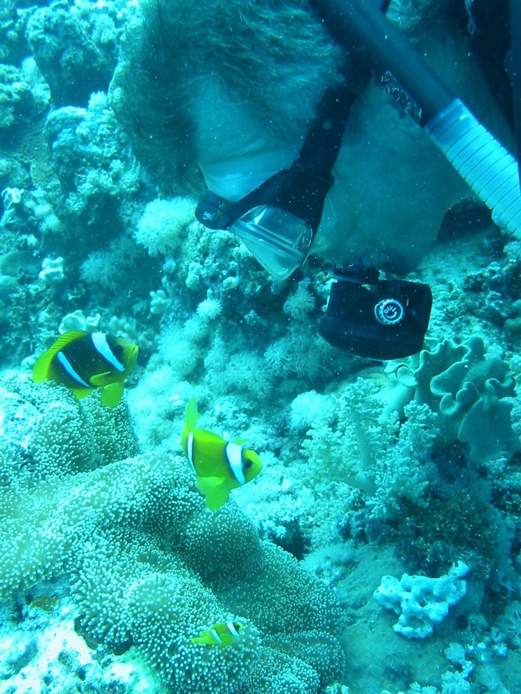 Friend and clown fish