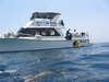 Desert Sea Divers Saudi Arabia.. check the website