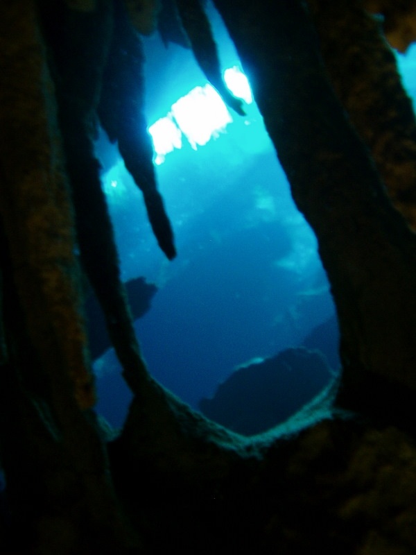 Cenotes