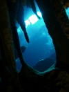 Cenotes