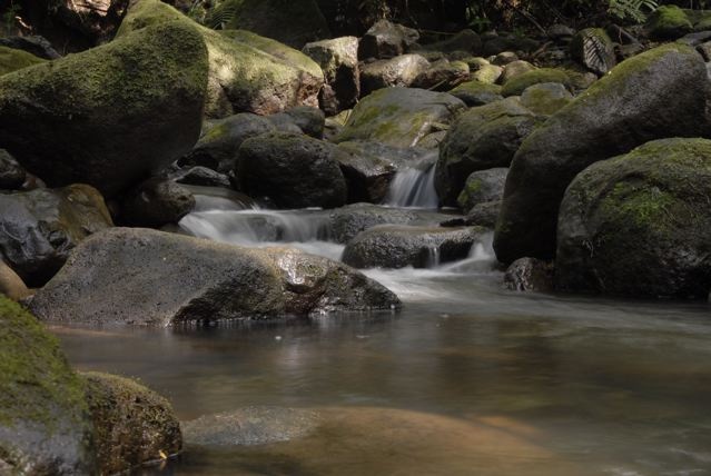 On the trail to Minoa Falls, Oahu, Hawaii