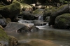 On the trail to Minoa Falls, Oahu, Hawaii