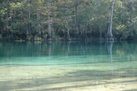 Morrison Springs