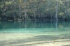 Morrison Springs