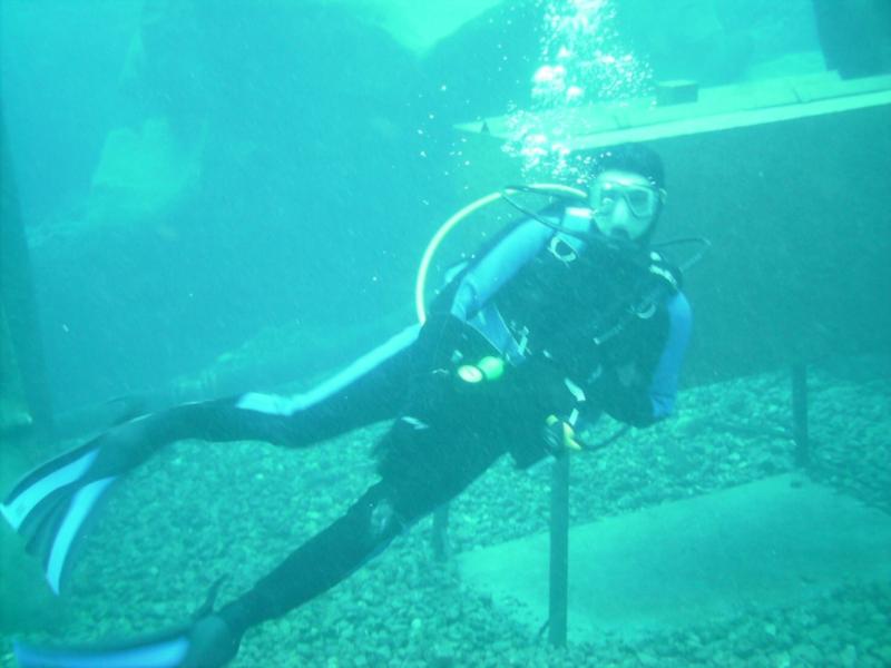 Diving Vortex Springs 5