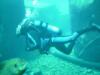 Diving Vortex Springs 6