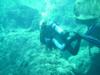 Diving Vortex Springs 7