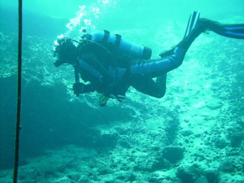 Diving Vortex Springs 8