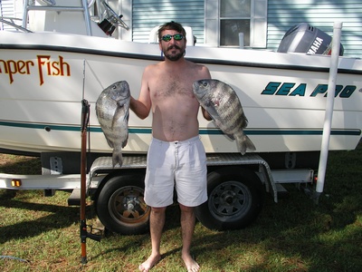 Sheepshead from the Shark Hole