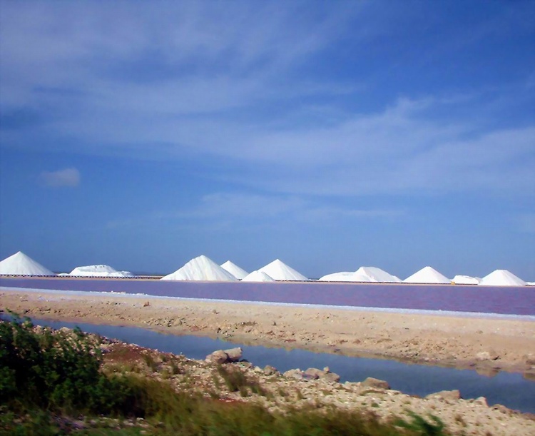 Sea Salt at the Salt Piers