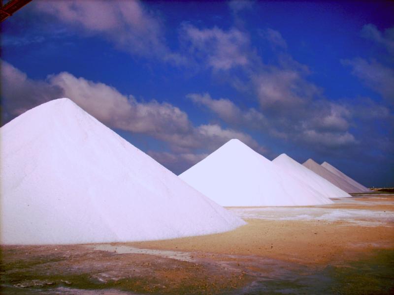 Salt Production Bonaire