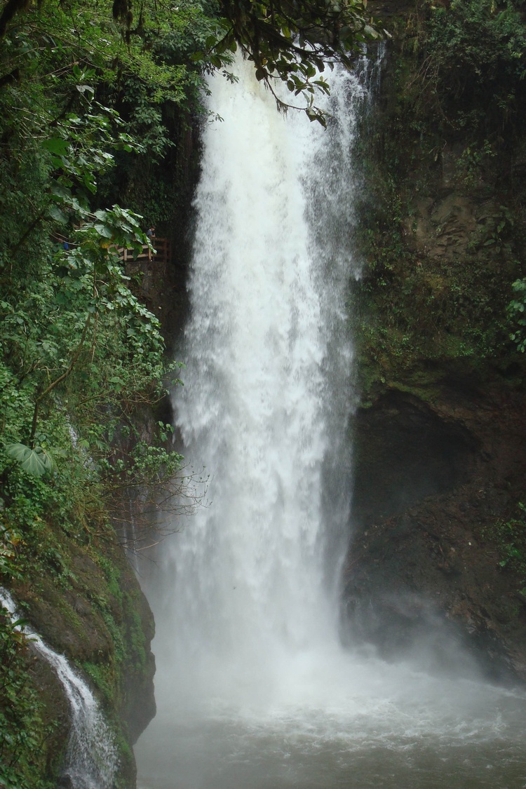 Waterfall Gardens Costa Rica