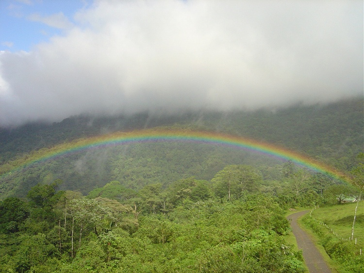 Costa Rican Rainbow