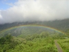 Costa Rican Rainbow