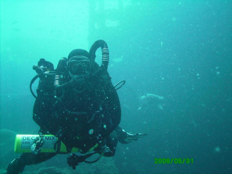 North Carolina, sand tiger shark behind me