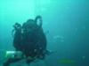 North Carolina, sand tiger shark behind me