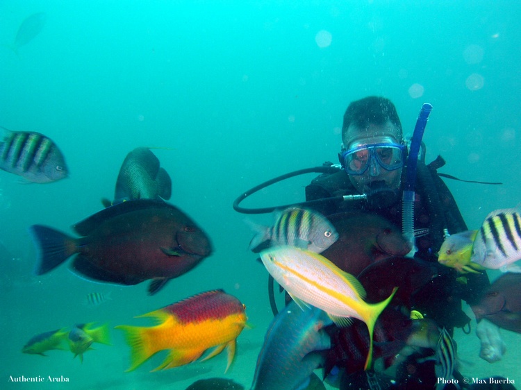 Feeding Frenzy near Antilla