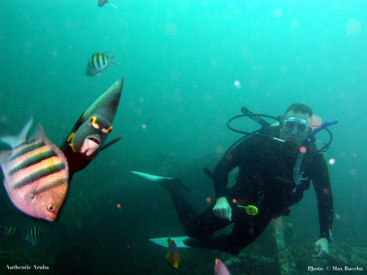 Antilla Wreck Aruba