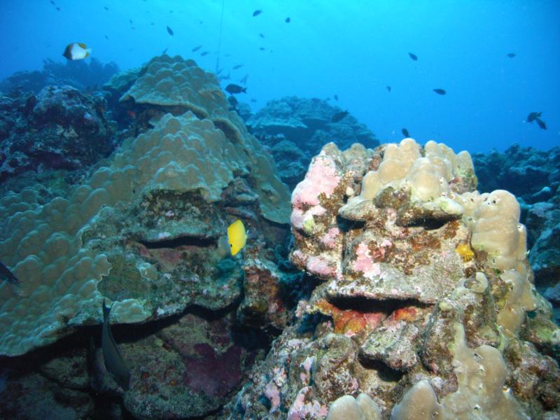 face in rock 
