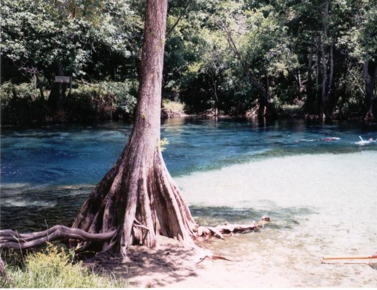 Cypress Springs Florida