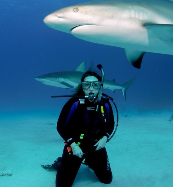 Shark Dive Nassau
