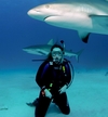 Shark Dive Nassau