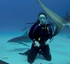 Shark Dive #2
