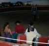 bull fighting Valencia