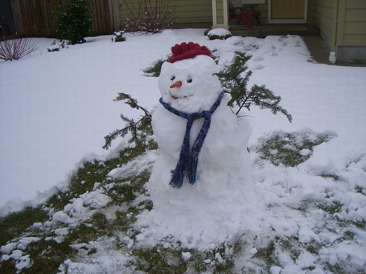 Mr. Jake Snowman