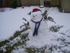 Mr. Jake Snowman