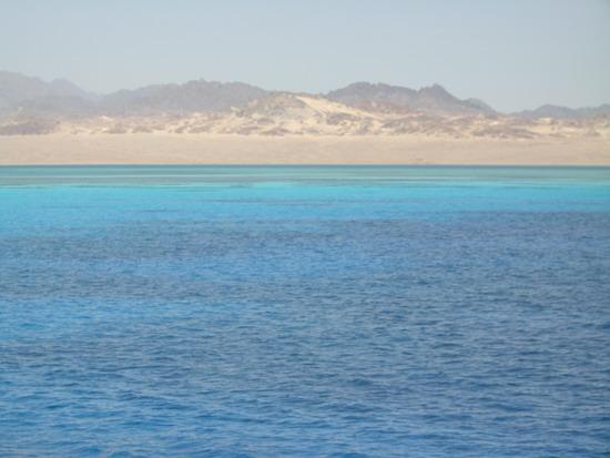 RED SEA