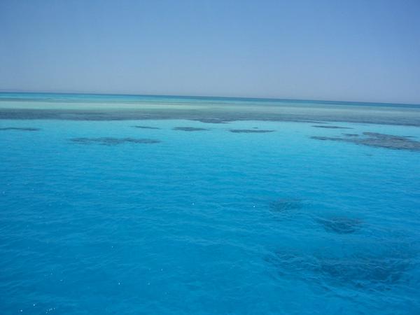 RED SEA