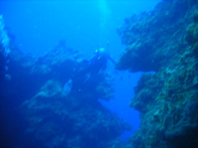 Cozumel 08