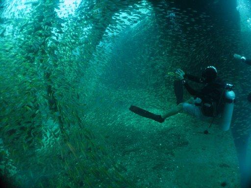 Me on the car deck of the King Cruiser Wreck