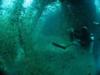 Me on the car deck of the King Cruiser Wreck