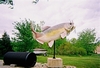 Haigh quarry south of chicago