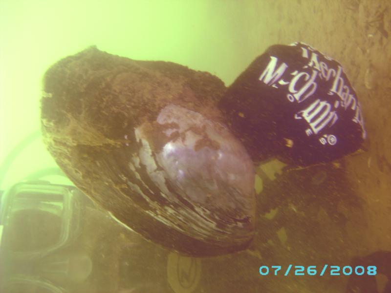 Kenny with Mussel..Dale Hollow