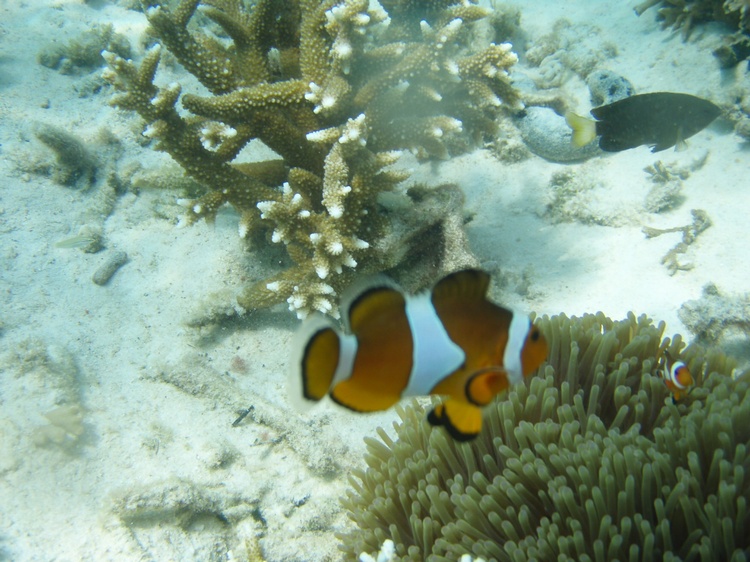 Perhentian Island Malaysia