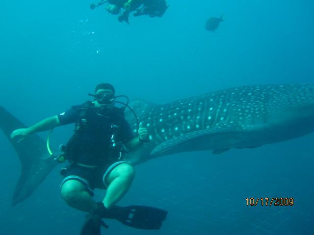 Me and the whale sharks