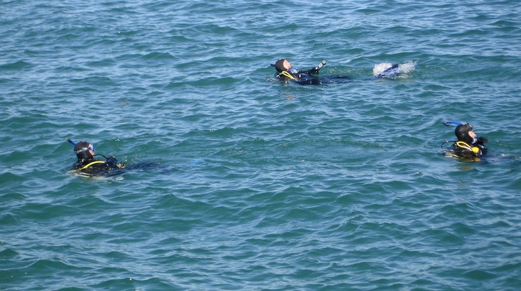 Seals